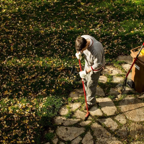 man-raking-leaves-on-sunny-autumn-day-in-back-yard